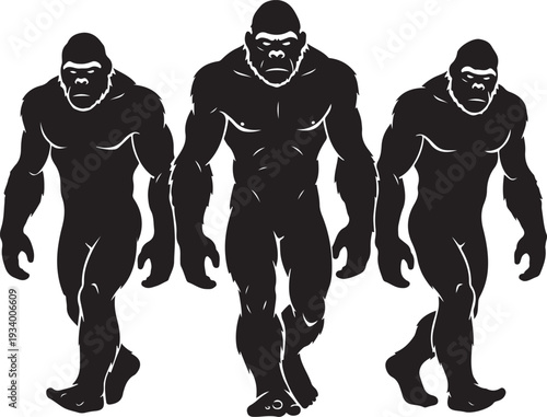 Bigfoot sightings mysterious black silhouettes of sasquatch walking in forest