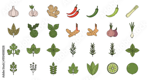 Thai and Asian Cooking Ingredients Icons Set with Herbs and Spices Isolated on White Background