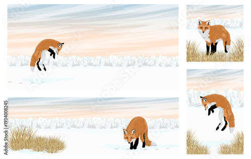Winter fox banner set with copy space. Vector red fox jumping and walking in snow. Forest animal in winter landscape with sunset sky and dry grass for seasonal cards and backgrounds