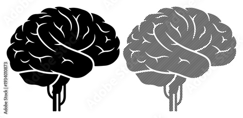 Two stylized brains, one black and one gray, symbolizing thought and intellect