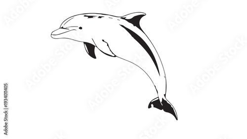 Playful dolphin leaping gracefully above a calm sea in a minimalist illustration.
