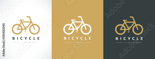 Bike logo vector. Transport illustration.