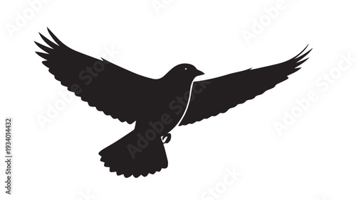 A solitary black dove in flight with outstretched wings captured as a minimalist silhouette.