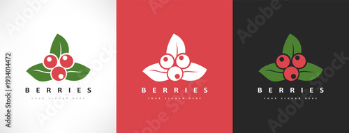 Cranberry berries logo vector design