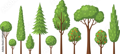 Cartoon Tree Collection Vector Illustration Set with Pine Oak Fruit and Decorative Garden Trees