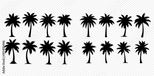 Set of black palm tree silhouettes on a transparent background, perfect for tropical designs and vacation themes.