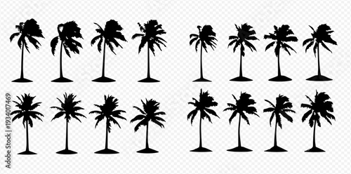 Collection of various black palm tree silhouettes on a transparent background, perfect for tropical designs.