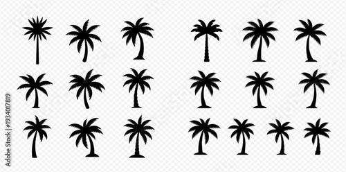 Collection of black palm tree silhouettes, tropical beach plant icons, and summer vacation symbols.