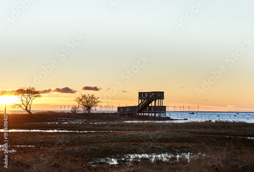 Sunset at Bunkeflo Strandängar naturreservat in southern Skåne, Sweden, with wooden viewing platform, coastal wetlands. Silhouetted trees and offshore wind turbines in Bunkeflostrand nature reserve