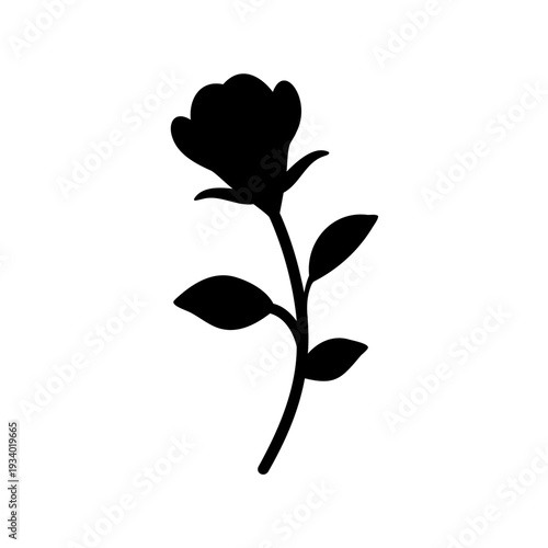 Silhouette of a blossoming rose flower with stem and leaves on white