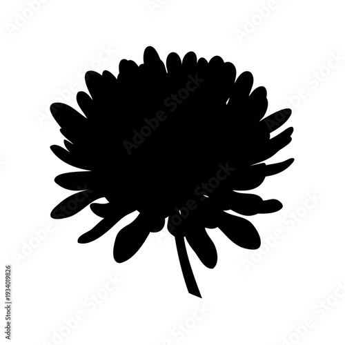 Silhouette of a Black Aster Flower with Petals and Single Stem