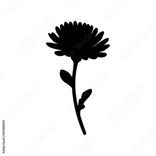 Elegant black silhouette of a Chrysanthemum flower in full bloom on white