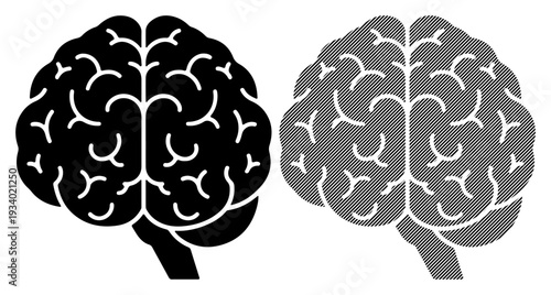 Two stylized human brains, one black and one gray, side by side, representing thought and cognition