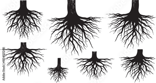 Set of tree root silhouettes on white background illustration