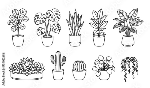 Black Linear Potted Plant Vector Set Indoor Houseplant Collection Isolated on White Background