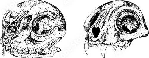 Mystical witch kit collection. Hand drawn engraving art with occult symbols. Perfect for modern witchcraft, tarot and esoteric designs. Boho, vintage magic vibe	
