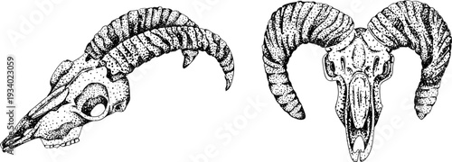 Mystical witch kit collection. Hand drawn engraving art with occult symbols. Perfect for modern witchcraft, tarot and esoteric designs. Boho, vintage magic vibe	
