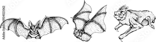 Mystical witch kit collection. Hand drawn engraving art with occult symbols. Perfect for modern witchcraft, tarot and esoteric designs. Boho, vintage magic vibe	
