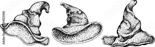 Mystical witch kit collection. Hand drawn engraving art with occult symbols. Perfect for modern witchcraft, tarot and esoteric designs. Boho, vintage magic vibe	
