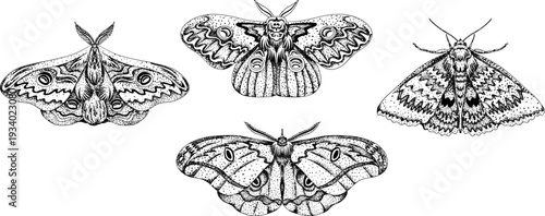 Mystical witch kit collection. Hand drawn engraving art with occult symbols. Perfect for modern witchcraft, tarot and esoteric designs. Boho, vintage magic vibe	
