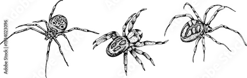 Mystical witch kit collection. Hand drawn engraving art with occult symbols. Perfect for modern witchcraft, tarot and esoteric designs. Boho, vintage magic vibe	
