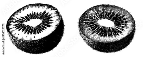 A kiwi's intricate cross section
