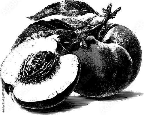 A still life of a peach and pear, meticulously detailed, capturing the essence of nature's bounty.