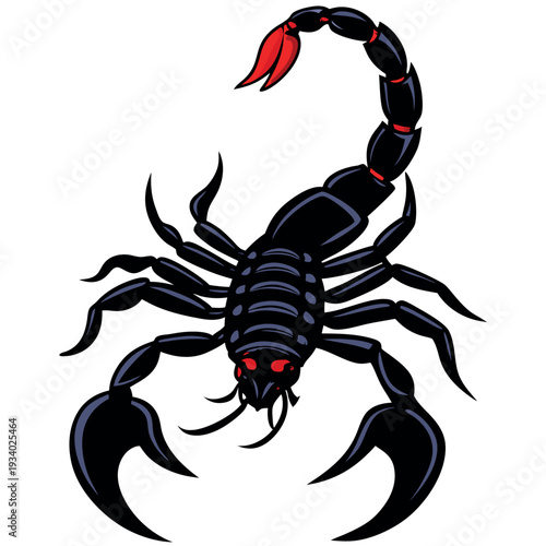 Scorpion isolated on white background