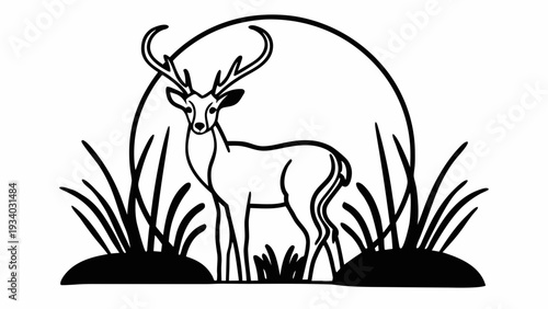 Majestic deer standing in serene natural habitat