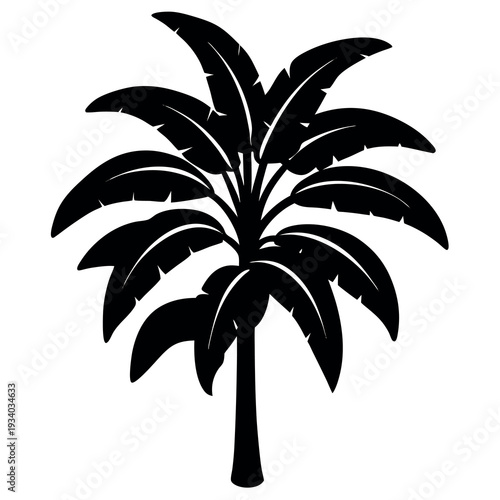 Banana tree silhouette