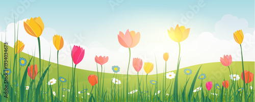 Spring landscape vector illustration with colorful tulips, wildflowers and green rolling hills under soft cloudy sky