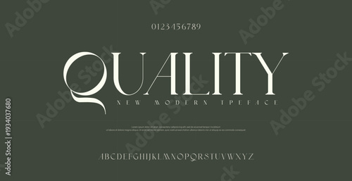 Quality Beauty Luxury font alphabet logo. Typography beautiful fashion elegant classic letters serif italic fonts decorative wedding vintage blossom logos. vector illustration
