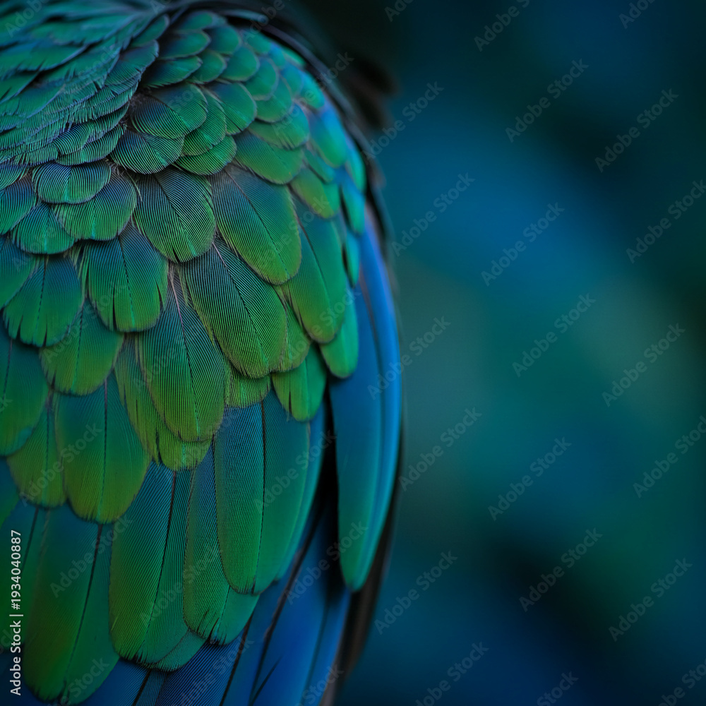 Obraz premium Close-up of green and blue bird plumage, showcasing textured feather detail, representing natural beauty, vibrant color, and exotic wildlife element