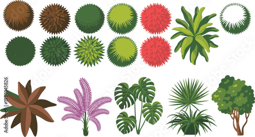 Top view bushes and tropical plants vector set with trees shrubs palm monstera leaves garden landscape elements isolated on white background