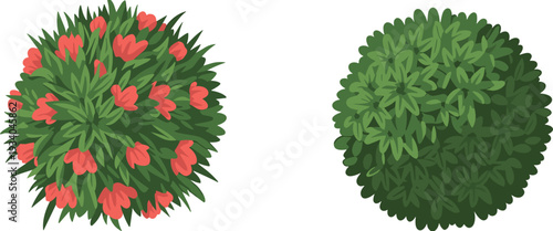 Top view flowering and green bushes vector illustration set with garden shrubs isolated on white background for landscape design