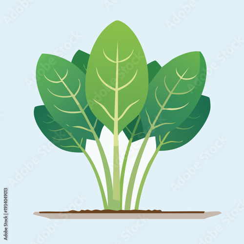 Fresh green spinach plant illustration on a neutral background