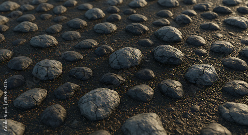 A vast expanse of dark gray pebbles scattered across the ground.