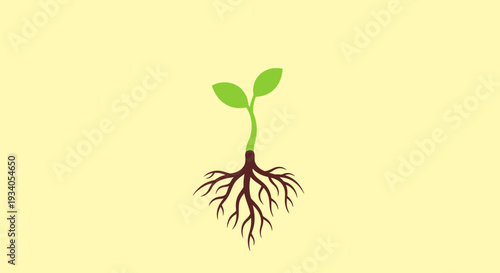 Growing Seedling with Visible Roots Illustration. Concept of New Life, Foundation, Startup Growth, Sustainability, and Ecology.