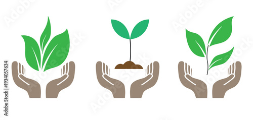 Green Eco Growth Concept – Hands Holding Plant, Sustainability and Environmental Care Icon