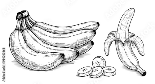 Bananas hand-drawn set with sliced fruit and monochrome illustration featuring bunch, tropical, food with dessert and healthy elements for snack,
