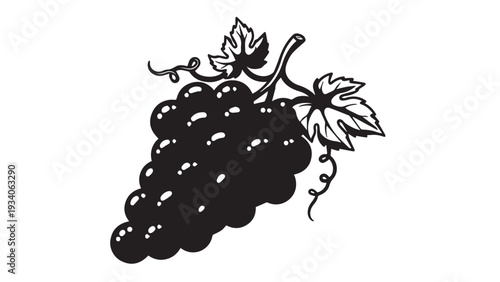 Illustrated bunch of grapes with leaves in black and white lineart.