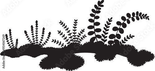 Black silhouette of plants growing on a log white background