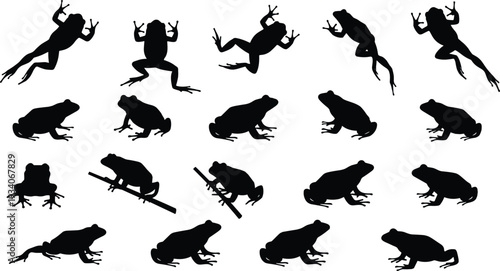 Professional frog silhouette vector set featuring various species in jumping, sitting, and swimming poses for nature education, wildlife conservation, and tropical pond ecosystem graphic designs.