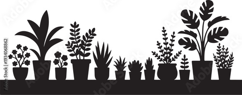 Black silhouettes of potted plants on a shelf