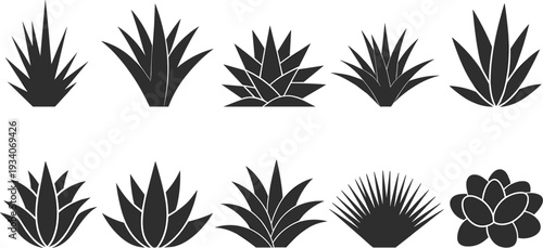 Agave and succulent plant silhouettes set, desert botanical vector illustration collection for cactus garden and tropical design