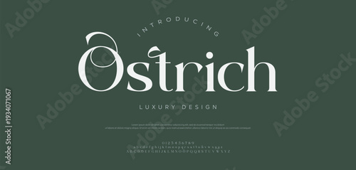 Elegant font, vintage type or luxury premium typeface, vector English royal alphabet. Classic typography in modern or old art deco style, serif letters for modern or retro poster font 
