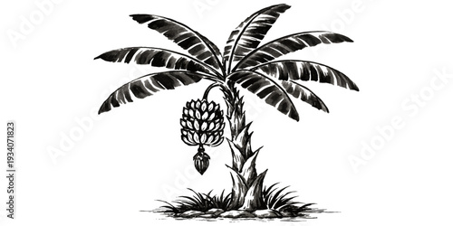 A tropical palm tree vector illustration featuring a black silhouette design of exotic coconut leaves against a summer nature landscape for beach travel and island vacation themes