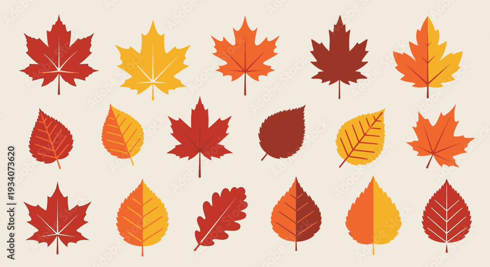 Obraz premium Autumn leaf collection vector illustration of various leaf shapes and colors