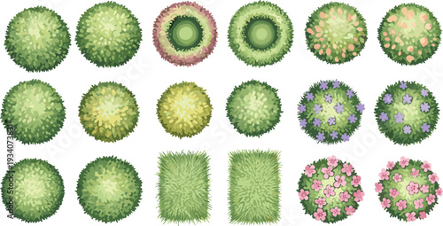 Top view vector set of green flowering shrub and bush symbols for landscape architecture garden design site mapping outdoor environment plans and yard landscaping diagrams.