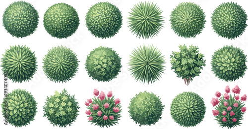 Top View Landscape Architecture Plant Symbols Set with Realistic Green Shrub Icons and Flowering Bush Graphics for Professional Garden Design Layouts and Outdoor Site Planning